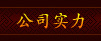 Դʳ˹˾
